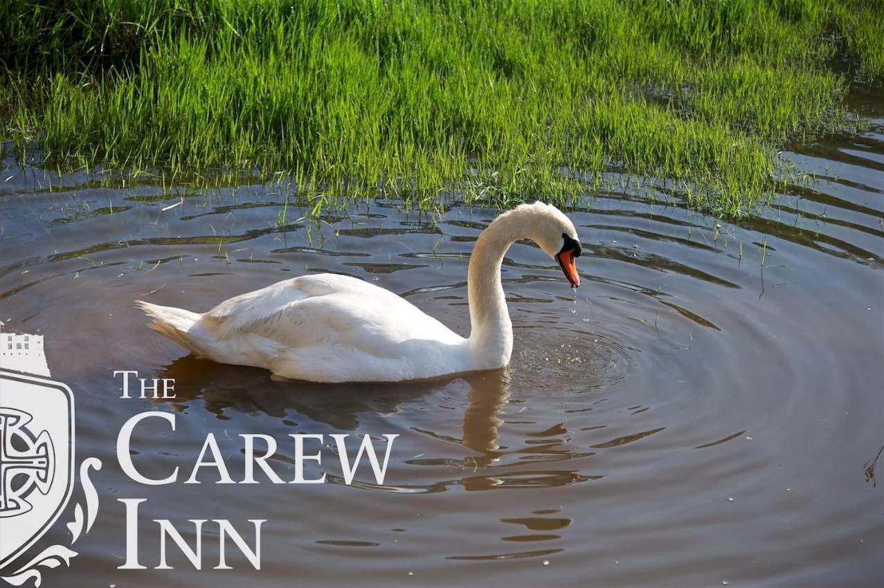 Carew Inn エクステリア 写真